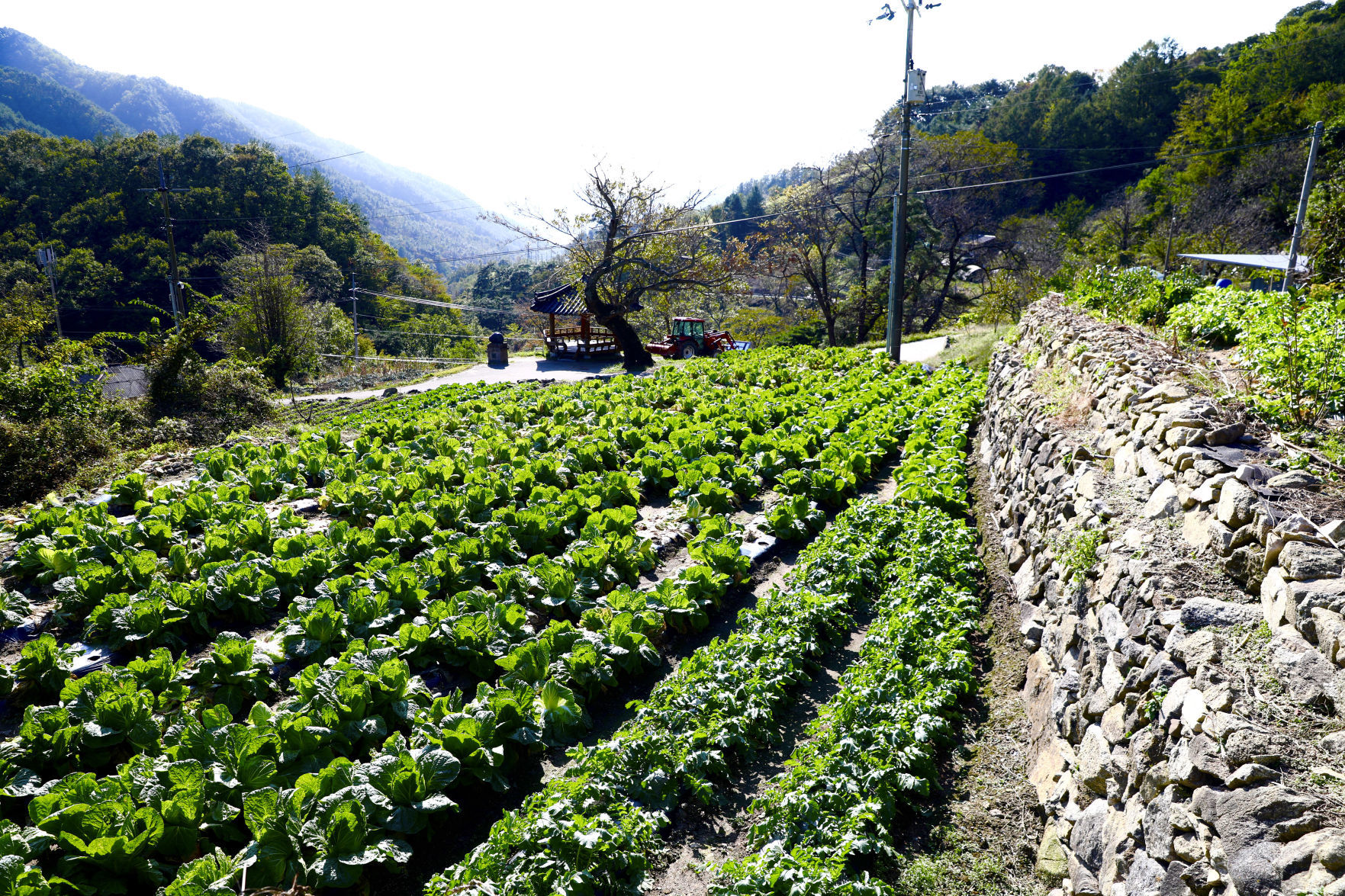 110419SouthKorea90YON.jpg